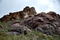 Cat Mountain Trail, Tucson, AZ 03-2020